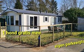 Relax huisjes zijn luxe huisjes met een vaatwasser en zeer snel WIFI 5G en is voorzien van een nieuwe badkamer en keuken met een omheinde tuin met een eigen parkeerplaats